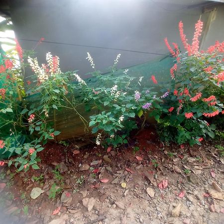 Munnar Home Stay Teadrops Plantation Villa Εξωτερικό φωτογραφία