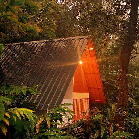 Munnar Home Stay Teadrops Plantation Villa Εξωτερικό φωτογραφία