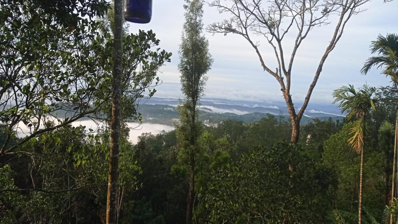 Munnar Home Stay Teadrops Plantation Villa Εξωτερικό φωτογραφία