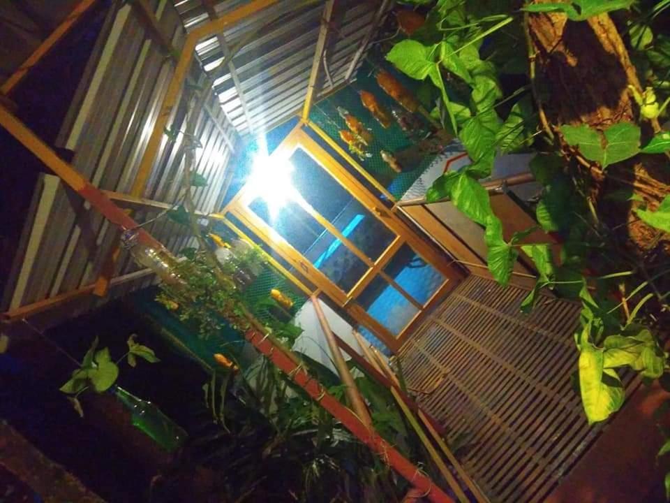 Munnar Home Stay Teadrops Plantation Villa Εξωτερικό φωτογραφία