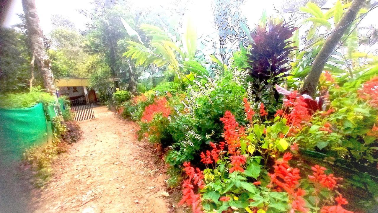 Munnar Home Stay Teadrops Plantation Villa Εξωτερικό φωτογραφία