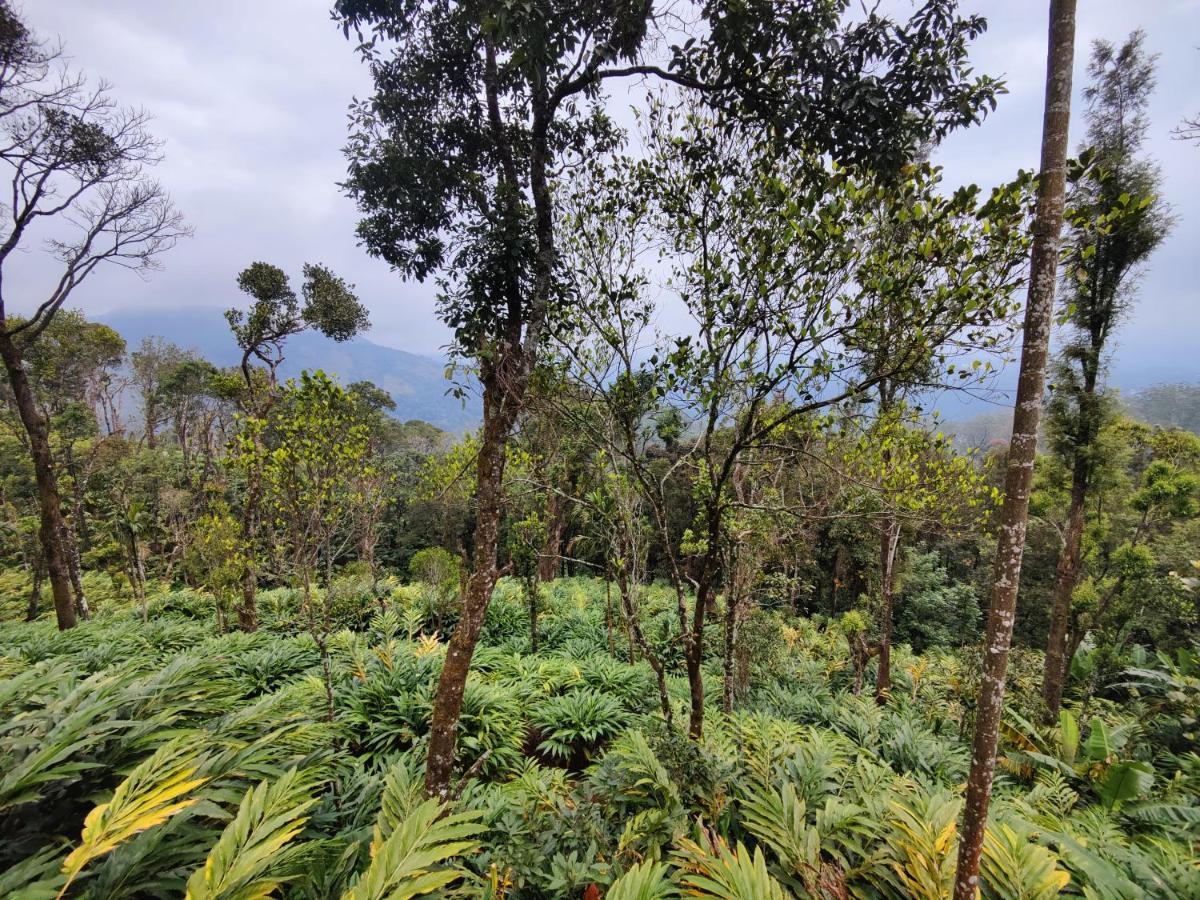 Munnar Home Stay Teadrops Plantation Villa Εξωτερικό φωτογραφία