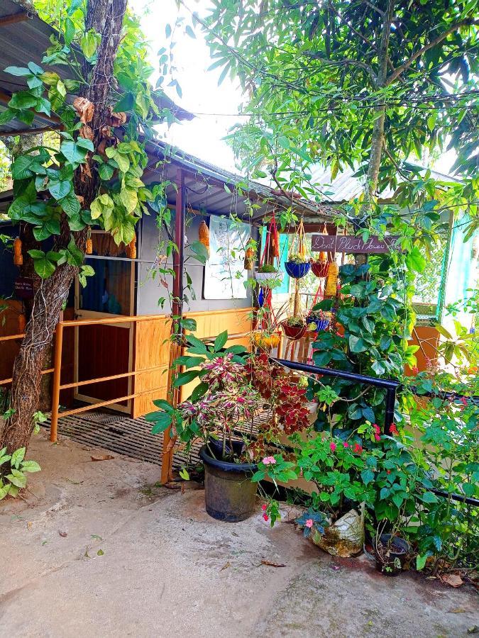 Munnar Home Stay Teadrops Plantation Villa Εξωτερικό φωτογραφία