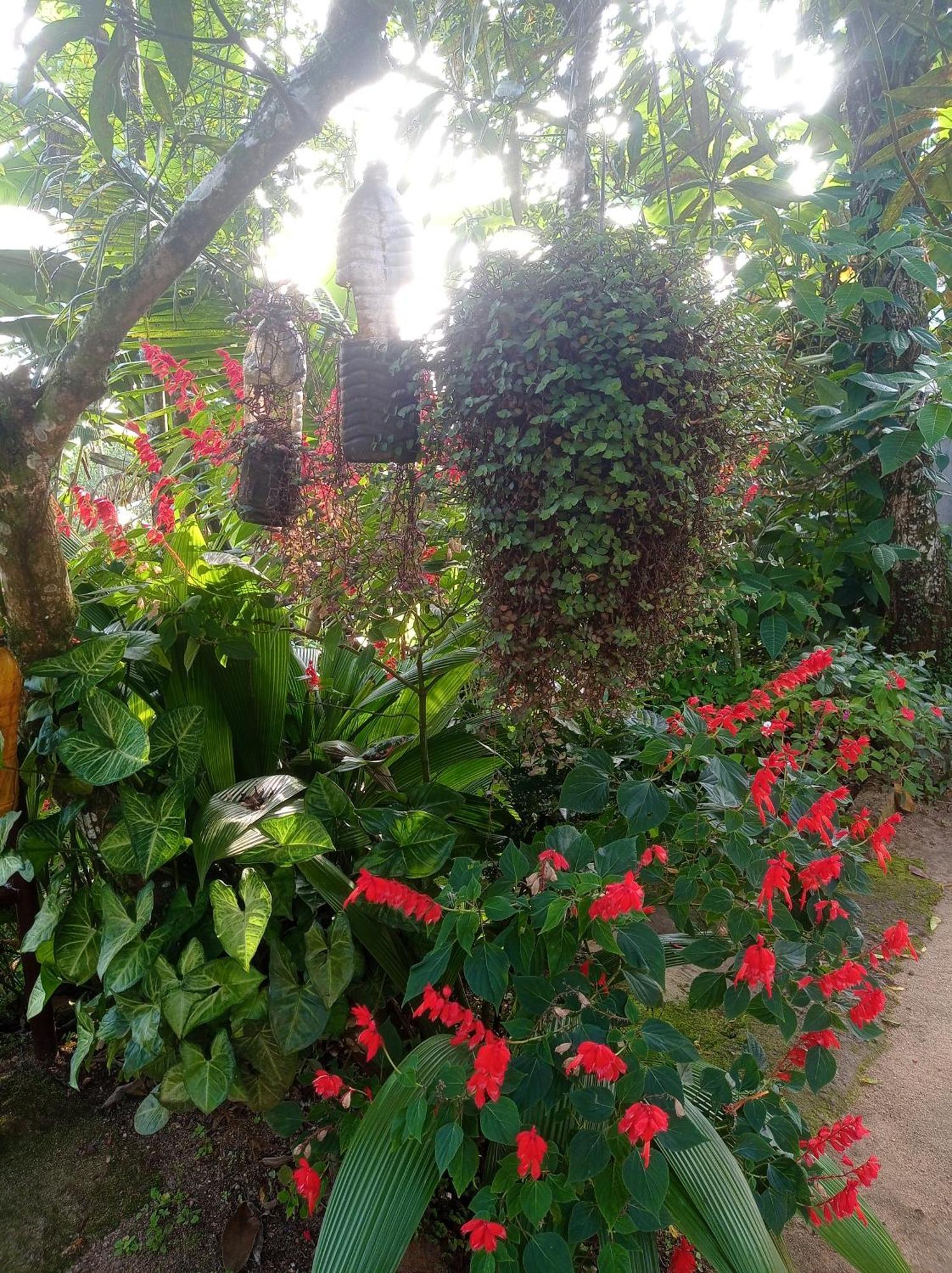 Munnar Home Stay Teadrops Plantation Villa Εξωτερικό φωτογραφία