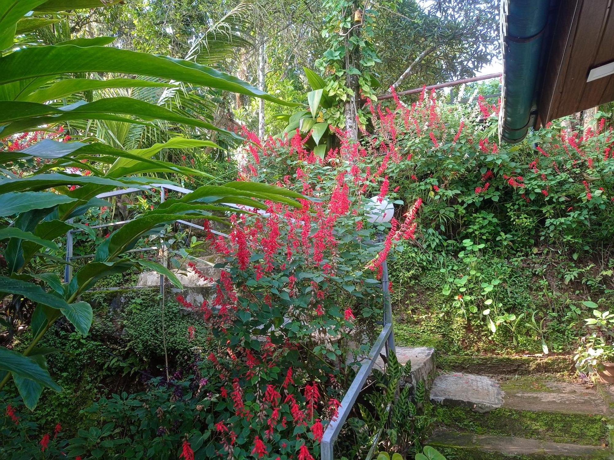 Munnar Home Stay Teadrops Plantation Villa Εξωτερικό φωτογραφία