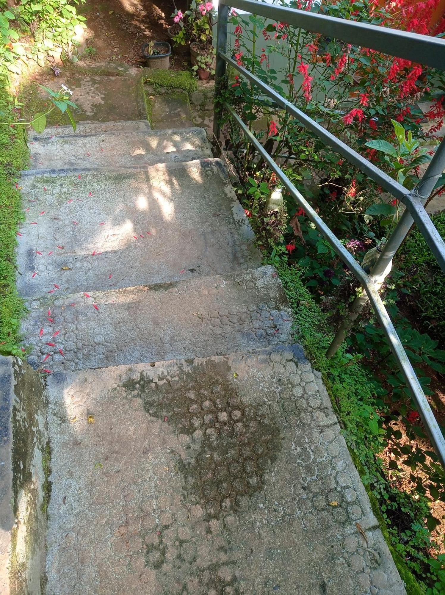 Munnar Home Stay Teadrops Plantation Villa Εξωτερικό φωτογραφία