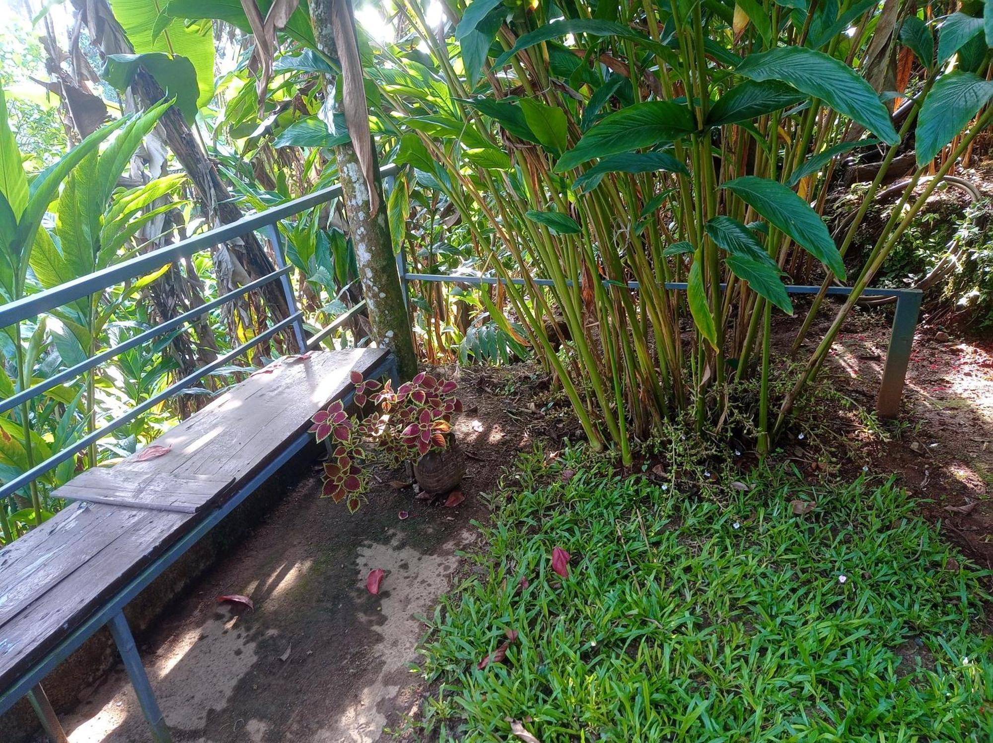 Munnar Home Stay Teadrops Plantation Villa Εξωτερικό φωτογραφία