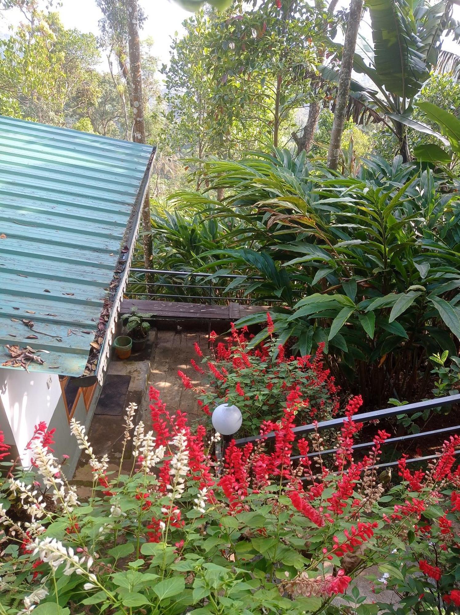 Munnar Home Stay Teadrops Plantation Villa Εξωτερικό φωτογραφία