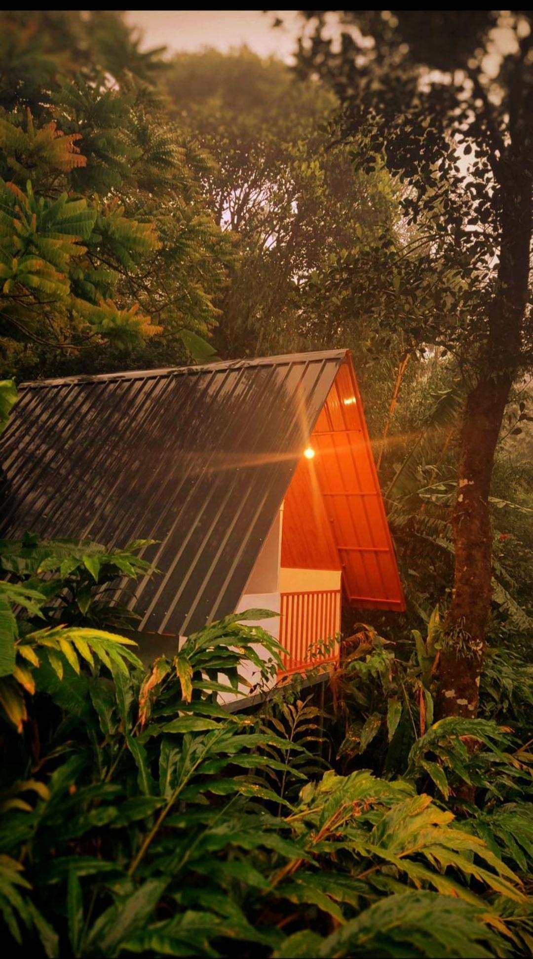 Munnar Home Stay Teadrops Plantation Villa Εξωτερικό φωτογραφία